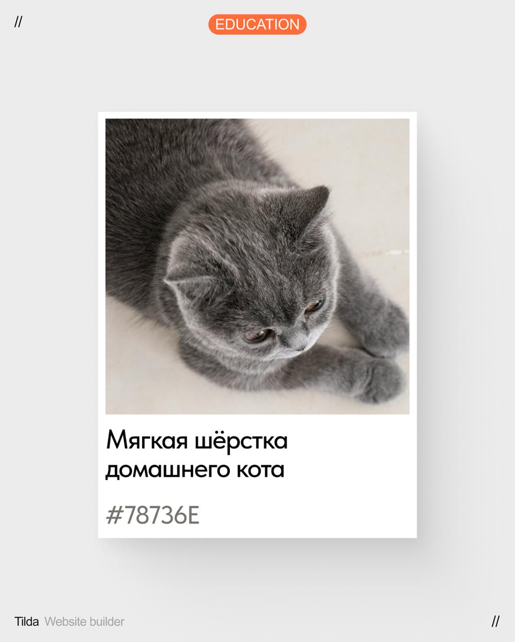 Каждый из нас помнит своё беззаботное детство | Сетка — социальная сеть от hh.ru