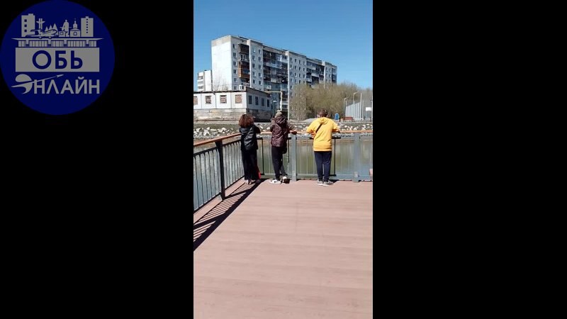 ↗ Сегодня эти молодые люди раскачивали сначала одну смотровую площадку в эко парке Обском, потом прошли на другую и так же стали раскачивать, но заметили меня | Сетка — социальная сеть от hh.ru