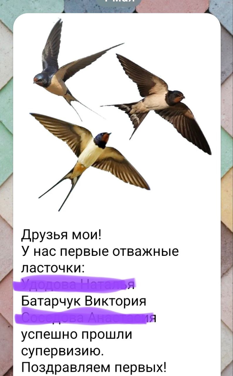 Похвальбушки | Сетка — социальная сеть от hh.ru