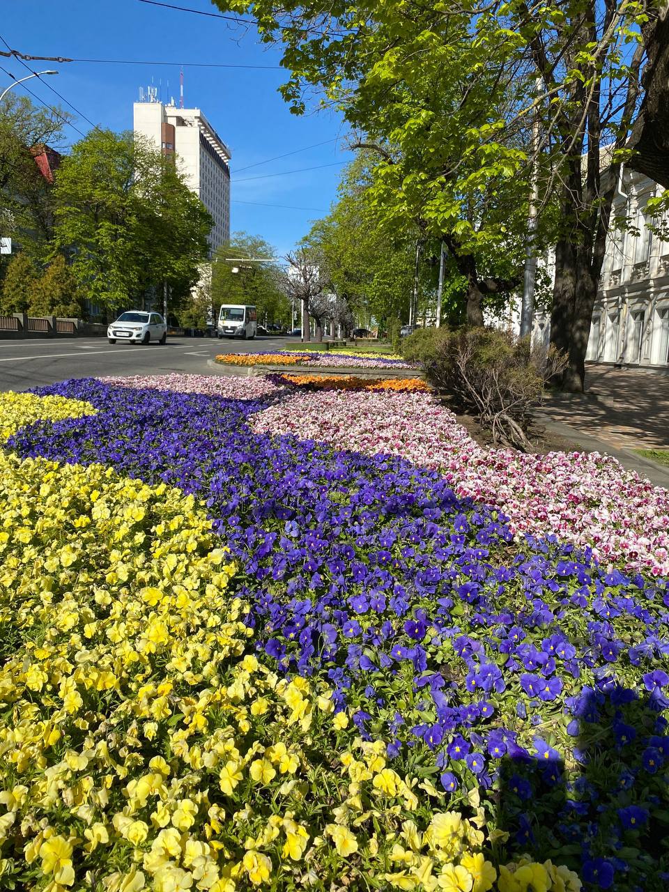 Теплое и солнечное утро в краевой столице
А как вы проводите 1 Мая?
❤️ — мы на шашлыках
🔥 — уехали путешествовать
👍 — в домашней обстановке
📸от подписчика | Сетка — социальная сеть от hh.ru