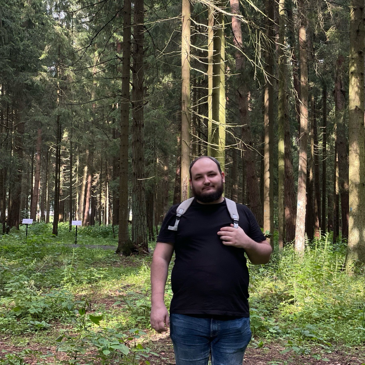 Никита Медведев | Сетка — социальная сеть от hh.ru