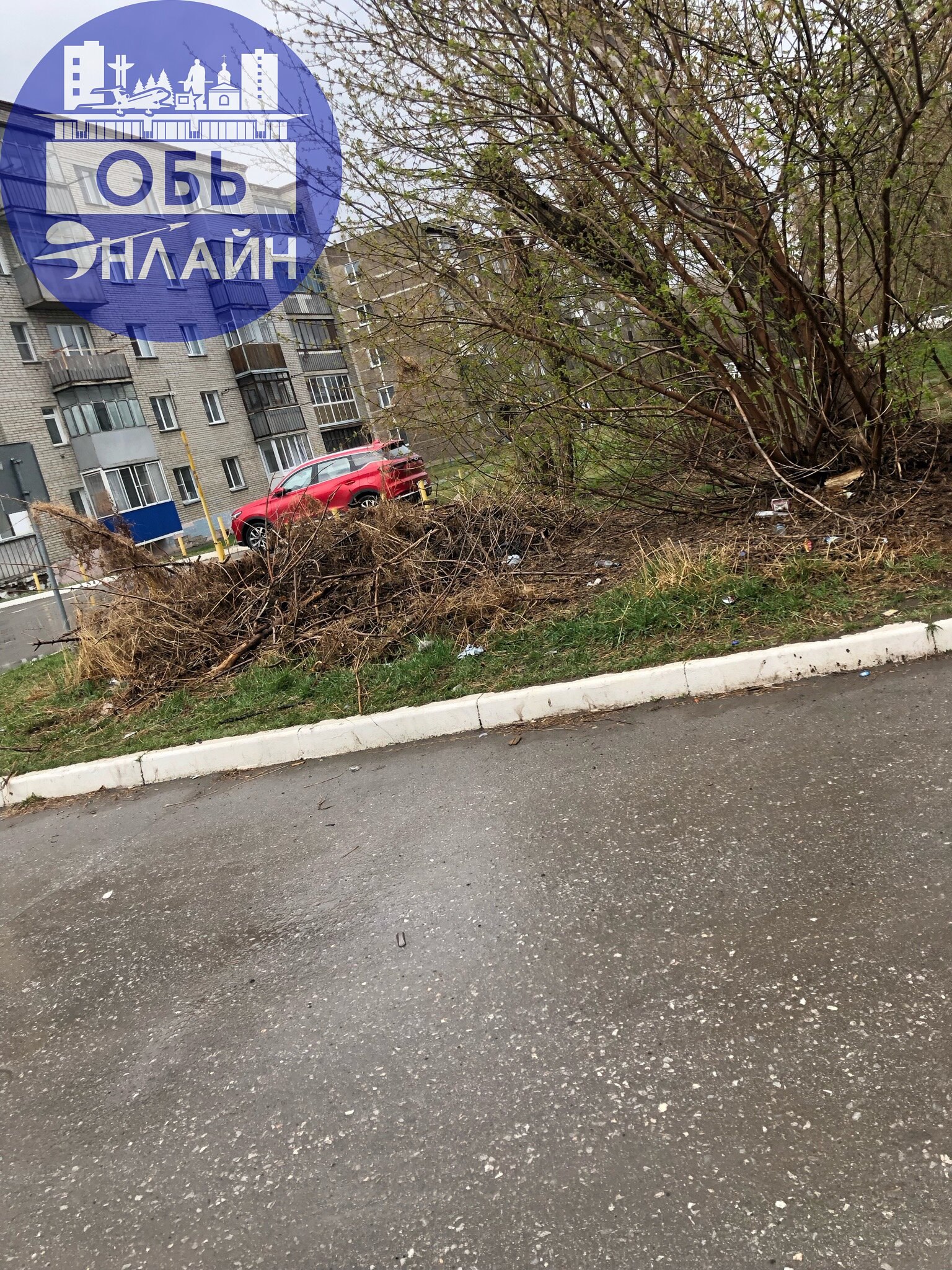 ↗ Напротив Мария-ра на октябрьской
Кто-нибудь этот мусор будет убирать?
vk.com
Подробнее на https://vk.com/ob.gorod
#городобь #городобьонлайн #толмачево | Сетка — социальная сеть от hh.ru