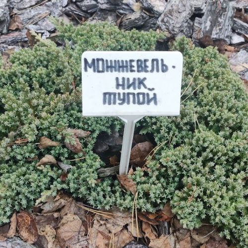 🧠 Почему я так много говорю о мышлении?
Знаете, почему даже самые эффективные техники продаж не работают у некоторых людей? Ответ кроется в нашей голове | Сетка — социальная сеть от hh.ru