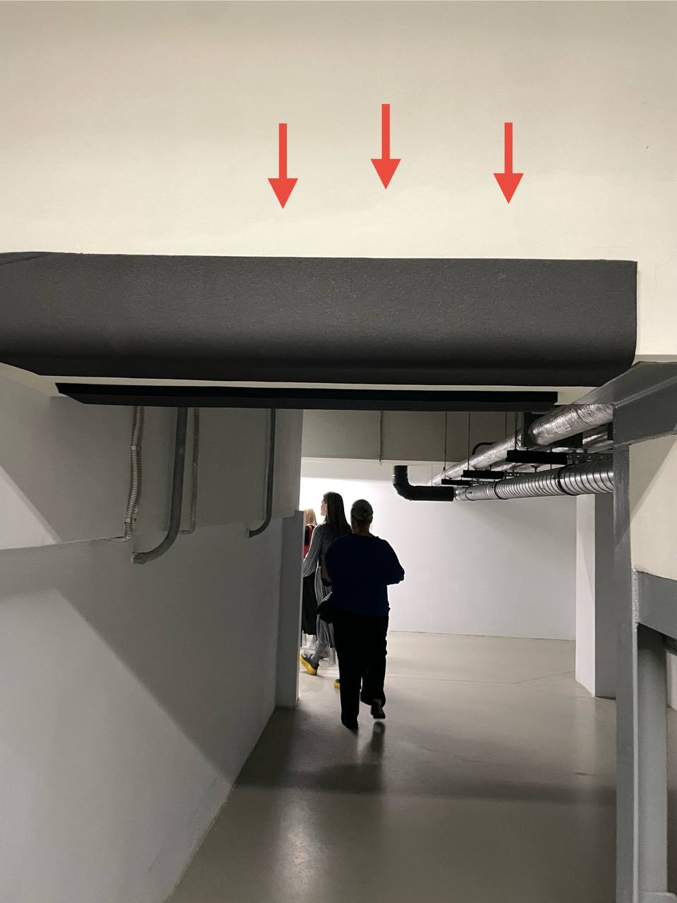 Секреты закрытых дверей Эрмитажа
В последний день апреля вместе с сообществом «Совет директоров» побывала на #БизнесЭкскурсия в Эрмитаже 🔥
Огромная благодарность Богданову Алексею Валентиновичу, что с... | Сетка — социальная сеть от hh.ru