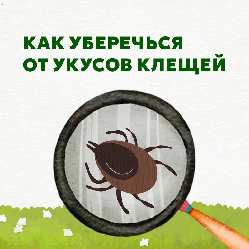 Мы не в Подмосковье, но клещи у нас тоже водятся
Как обезопасить себя от их нежелательного внимания и что делать, если вас всё же укусили?
Ответы на эти вопросы и полезные рекомендации собрали в карто... | Сетка — социальная сеть от hh.ru
