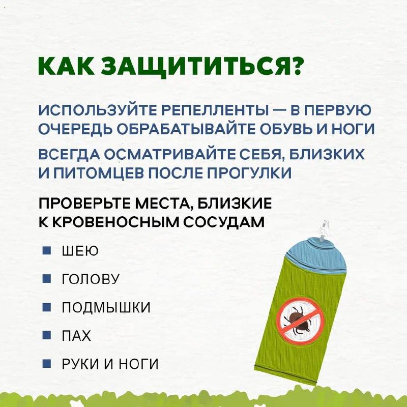 Мы не в Подмосковье, но клещи у нас тоже водятся
Как обезопасить себя от их нежелательного внимания и что делать, если вас всё же укусили?
Ответы на эти вопросы и полезные рекомендации собрали в карто... | Сетка — социальная сеть от hh.ru
