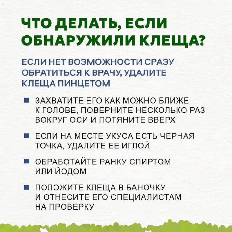 Мы не в Подмосковье, но клещи у нас тоже водятся
Как обезопасить себя от их нежелательного внимания и что делать, если вас всё же укусили?
Ответы на эти вопросы и полезные рекомендации собрали в карто... | Сетка — социальная сеть от hh.ru