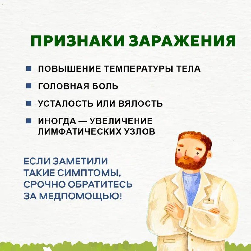 Мы не в Подмосковье, но клещи у нас тоже водятся
Как обезопасить себя от их нежелательного внимания и что делать, если вас всё же укусили?
Ответы на эти вопросы и полезные рекомендации собрали в карто... | Сетка — социальная сеть от hh.ru
