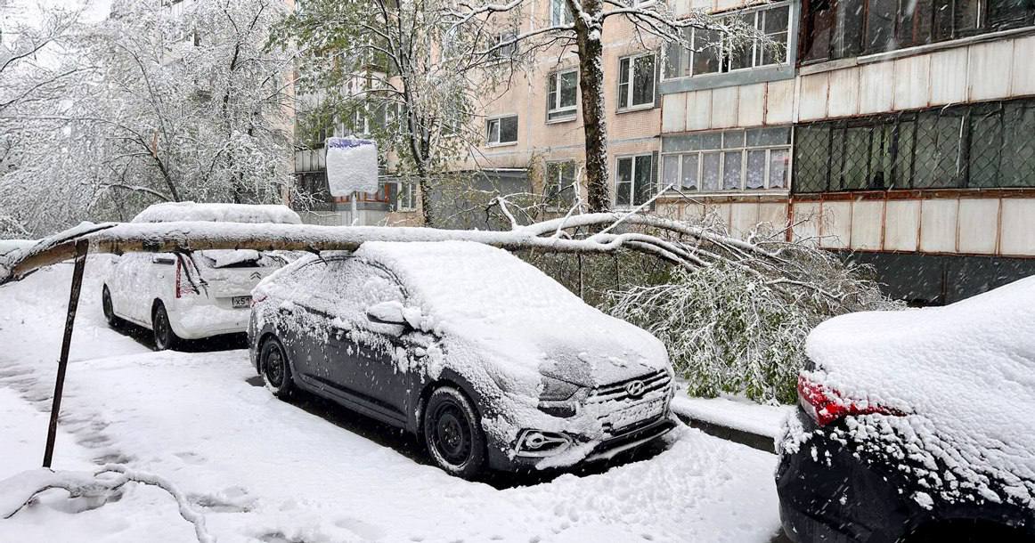 В Москве — снегопад. Но это неудивительно. 4 января же сделали выходным, поменяв местами со 2 мая. Так что кэшбэк закономерен. | Сетка — социальная сеть от hh.ru