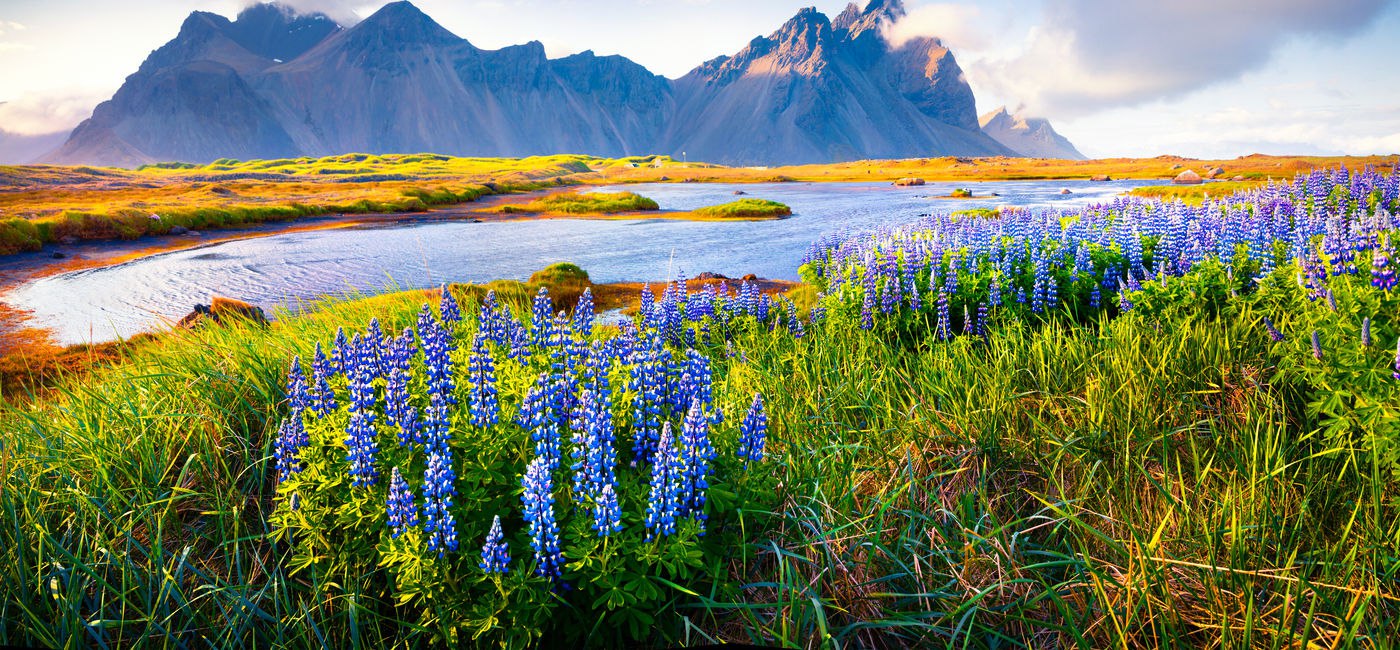 This Island Nation Tops the List of Most Peaceful Vacation Destinations
Top Tranquil Travel Destinations for a Serene Escape
For travelers seeking a peaceful retreat from the hustle of daily life, Ice... | Сетка — социальная сеть от hh.ru