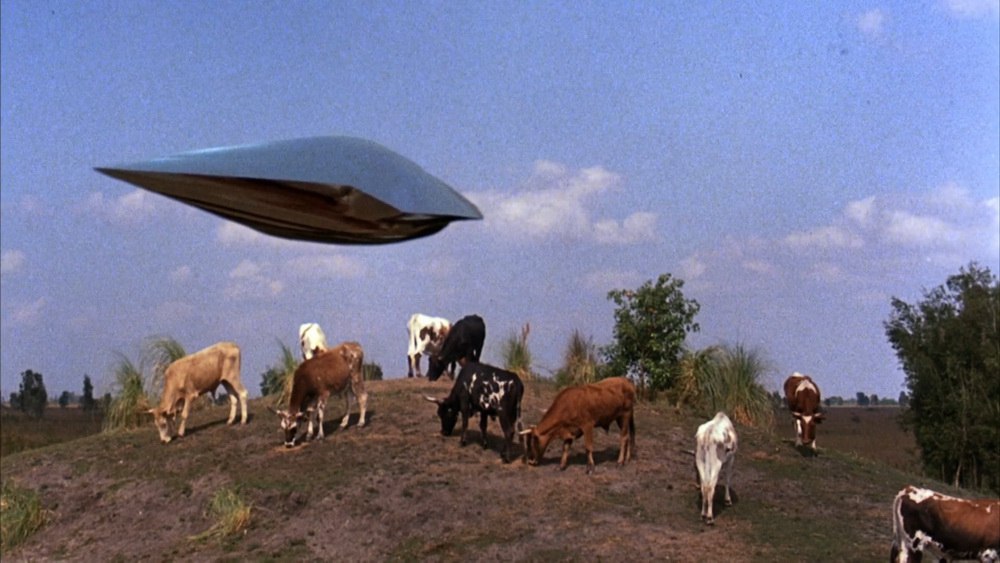 В продолжение историй, меняющих жизнь, хочу упомянуть о киношедевре "Полёт Навигатора" (1986) | Сетка — социальная сеть от hh.ru