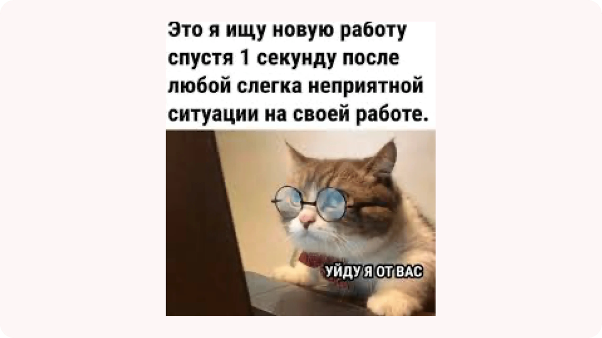 Твоё резюме опять не посмотрели? | Сетка — социальная сеть от hh.ru