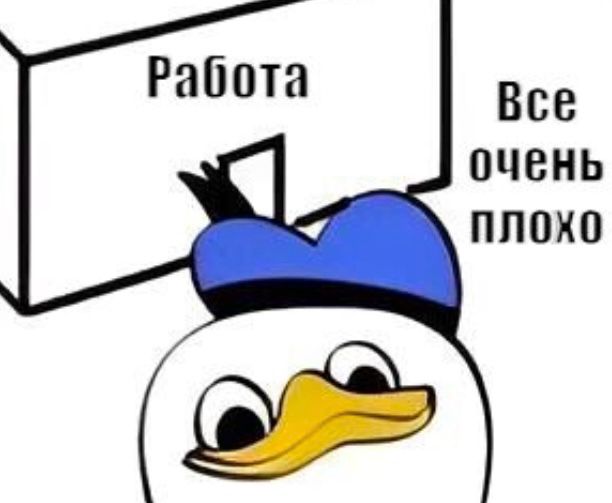 Что делать если вы попали в компанию, а там 😱😱😱 | Сетка — социальная сеть от hh.ru
