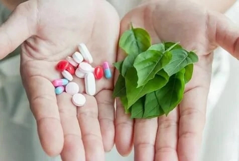 🌿ПРИРОДНЫЙ АНТИБИОТИК ИЗ МИКРОЗЕЛЕНИ👈
🌎В мире, где синтетические антибиотики все чаще теряют свою эффективность, а устойчивость бактерий становится серьезной угрозой, поиск альтернативных решений прио... | Сетка — социальная сеть от hh.ru
