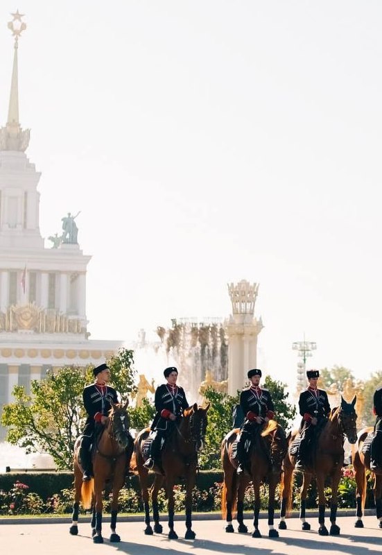 🐎Зрелищное конное шествие на ВДНХ
До сентября
по субботам в 12:00
Каждую субботу до сентября на площади Дружбы народов будет проходить показательная программа всадников Кремлевской школы верховой езды | Сетка — социальная сеть от hh.ru