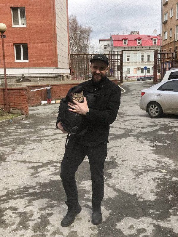 Берёшь кота, пеленуешь, суёшь в рюкзак, нежно обнимаешь, нашёптывая в дырку в молнии успокаивающие слова, себя засовываешь в такси, едешь, запускаешь в квартиру спелёнутую гусеницу, которая уже никуда... | Сетка — социальная сеть от hh.ru
