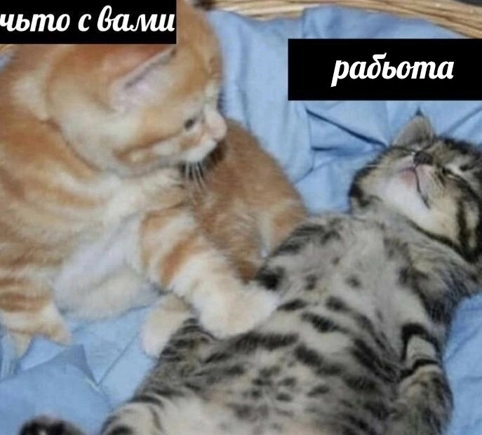 Когда подумал о предстоящей рабочей неделе | Сетка — социальная сеть от hh.ru