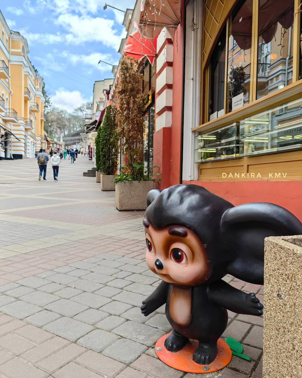 Цветущие майские дни в Кисловодске
📸 dankirakmv | Сетка — социальная сеть от hh.ru
