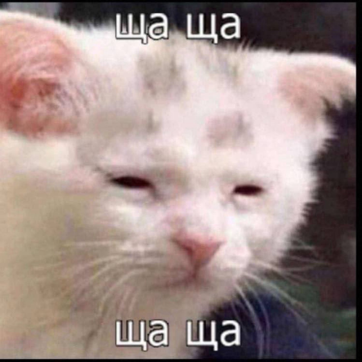 Станислав Каминский