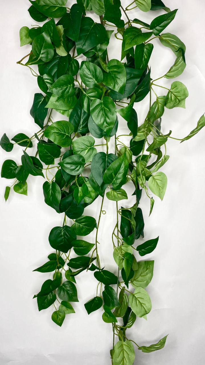 🌿 Искусственный эпипремнум (плющ) – идеальное украшение без хлопот! 🏡✨
Хотите добавить в интерьер нотку свежести и уюта, но нет времени ухаживать за живыми растениями? Искусственный эпипремнум (плющ) ... | Сетка — социальная сеть от hh.ru
