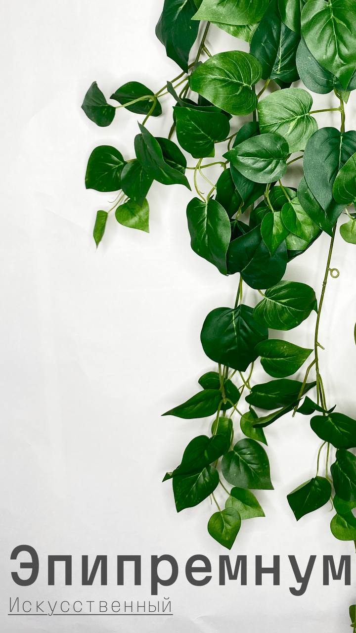 🌿 Искусственный эпипремнум (плющ) – идеальное украшение без хлопот! 🏡✨
Хотите добавить в интерьер нотку свежести и уюта, но нет времени ухаживать за живыми растениями? Искусственный эпипремнум (плющ) ... | Сетка — социальная сеть от hh.ru