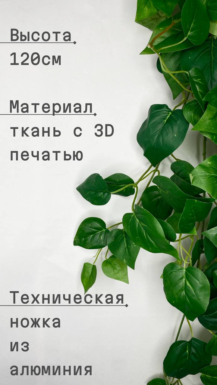 🌿 Искусственный эпипремнум (плющ) – идеальное украшение без хлопот! 🏡✨
Хотите добавить в интерьер нотку свежести и уюта, но нет времени ухаживать за живыми растениями? Искусственный эпипремнум (плющ) ... | Сетка — социальная сеть от hh.ru