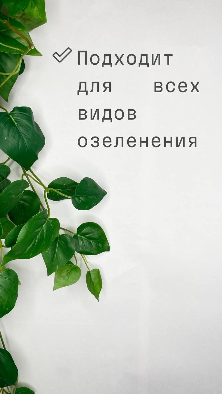 🌿 Искусственный эпипремнум (плющ) – идеальное украшение без хлопот! 🏡✨
Хотите добавить в интерьер нотку свежести и уюта, но нет времени ухаживать за живыми растениями? Искусственный эпипремнум (плющ) ... | Сетка — социальная сеть от hh.ru