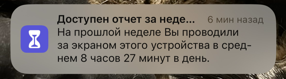 Скажи, что ты работаешь в сфере контента, не говоря, что ты работаешь в сфере контента | Сетка — социальная сеть от hh.ru