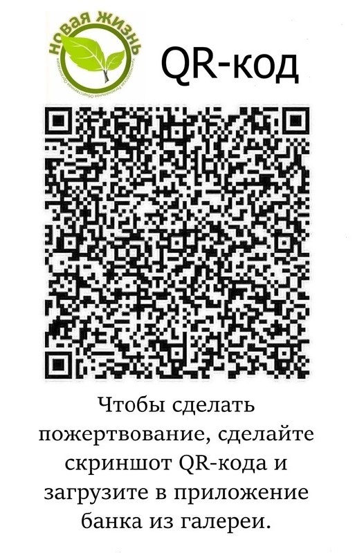 Шаг к лучшему будущему!
Друзья, мы рады поделиться с вами важной новостью!
В конце апреля наша команда КРОО «Новая Жизнь» совместно с служителями высадила 21 яблоню в Доме Молитвы, ст. Новотитаровская | Сетка — социальная сеть от hh.ru