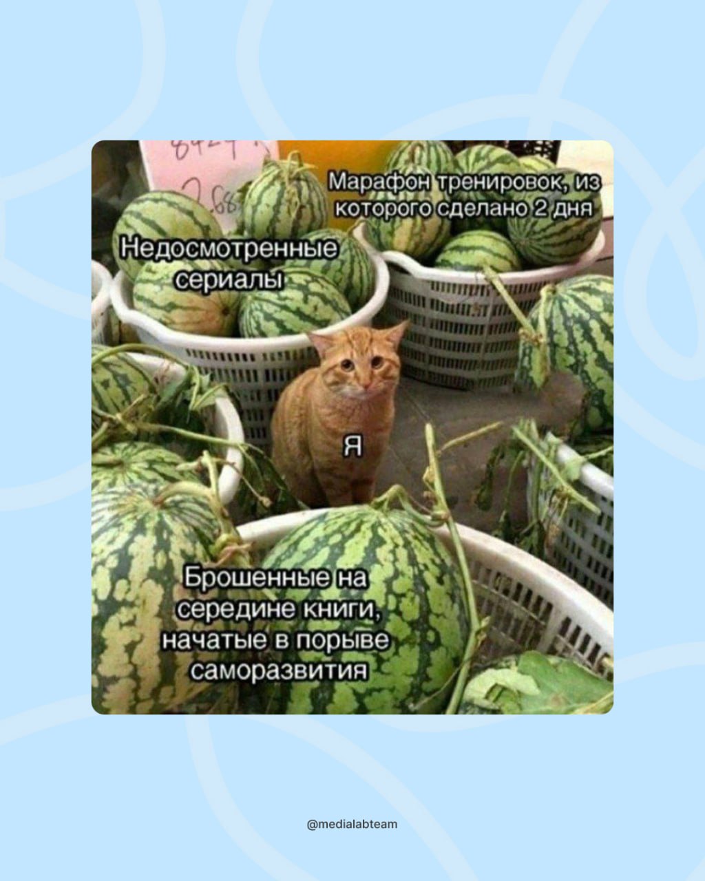 🦯 Ну давайте, все мои любимые хобби, нападайте. Я вас сейчас все переделаю за эти майские праздники!
Сейчас только перерыв на работу 3 дня и снова в бой, нападай ⚔️
@medialabteam 🤍 | Сетка — социальная сеть от hh.ru