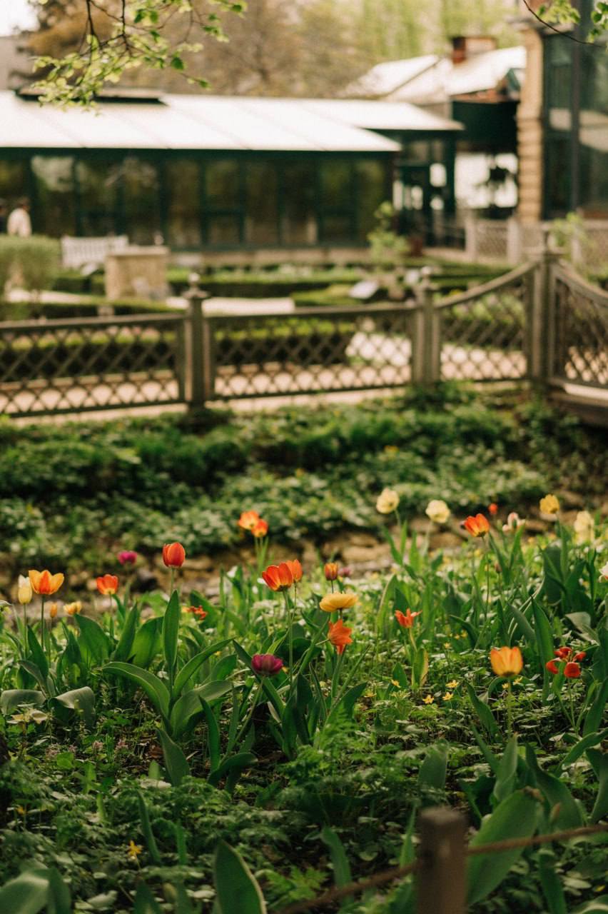 🌷Весенняя красота в Аптекарском огороде
А вы уже побывали там?
❤️ — Да
😢 — Нет
😁 — Не собираюсь
📲Подпишитесь на Вдвижении
#активныйотдых | Сетка — социальная сеть от hh.ru