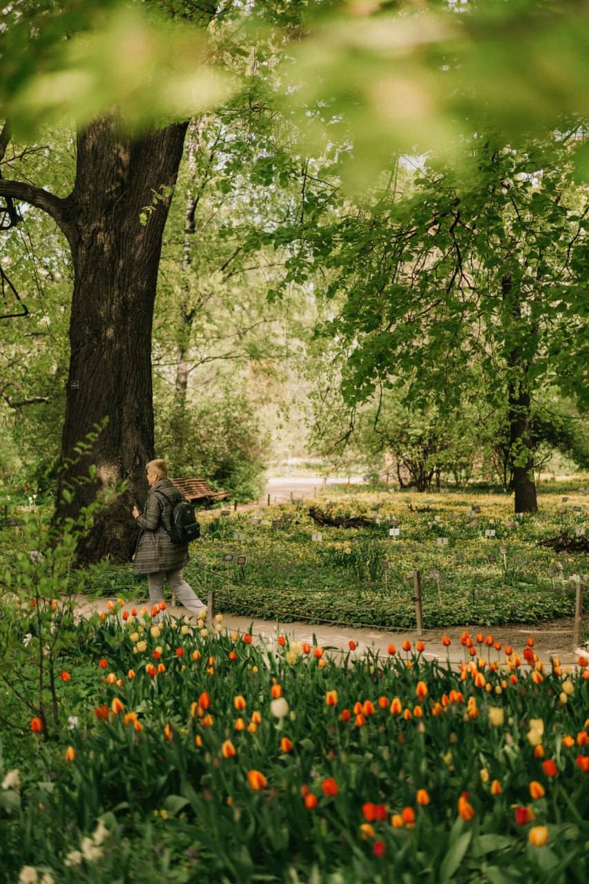 🌷Весенняя красота в Аптекарском огороде
А вы уже побывали там?
❤️ — Да
😢 — Нет
😁 — Не собираюсь
📲Подпишитесь на Вдвижении
#активныйотдых | Сетка — социальная сеть от hh.ru