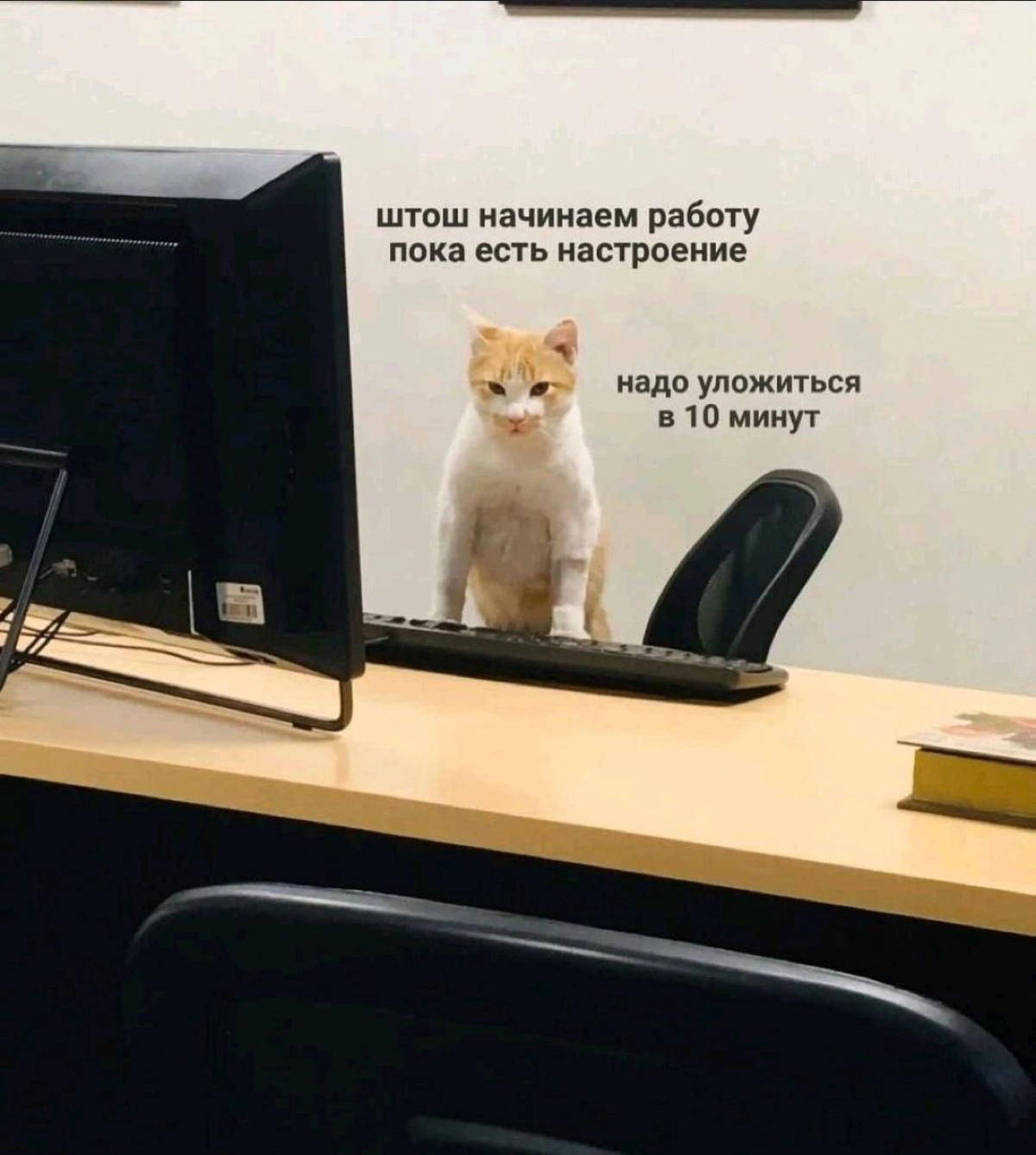 Мой рабочий настрой перед майскими — как на этой картинке 😅
А какая картинка описывает ваше настроение?
#ит #itrecruitment #вакансия #настроение | Сетка — социальная сеть от hh.ru
