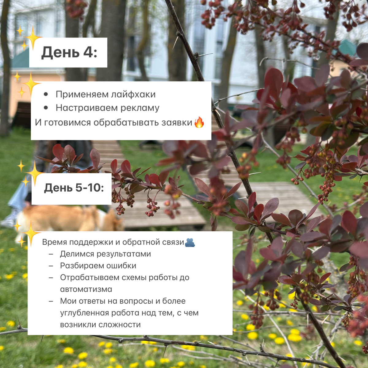 Открываю продажи на мой 10-дневный Практикум «Лидген» | Сетка — социальная сеть от hh.ru