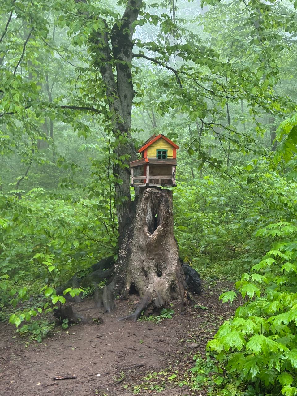 Весенний туман в Железноводске
📸@artemmeletov | Сетка — социальная сеть от hh.ru