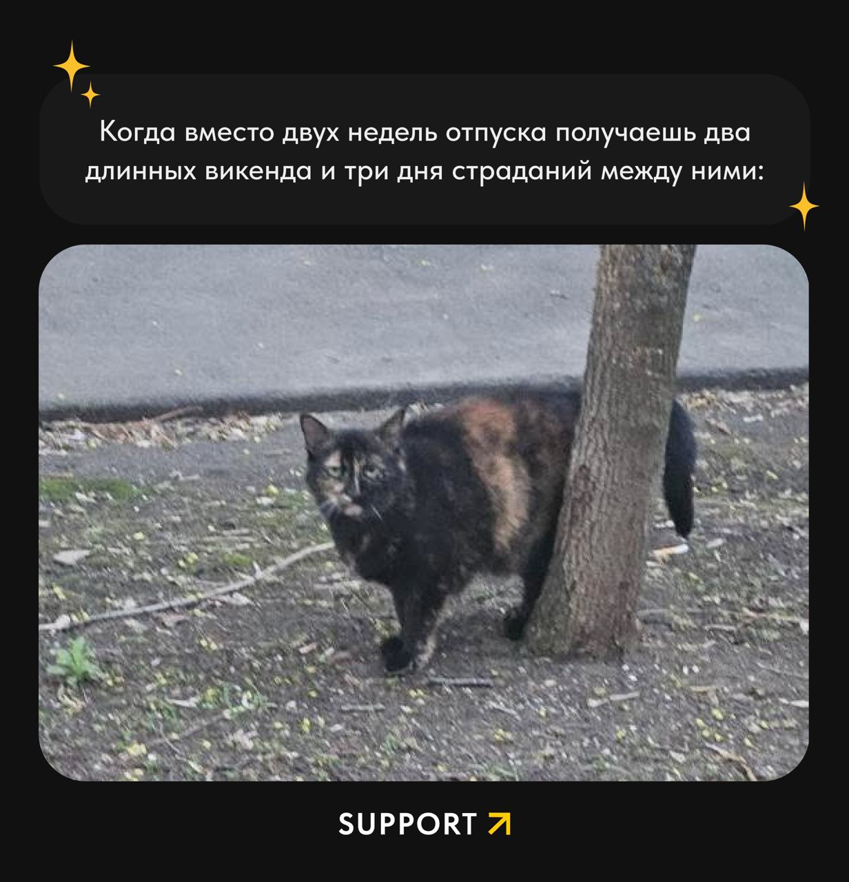По прошествию первого рабочего дня в мае можем сказать: кот, как же мы тебя понимаем... 😐
Как ваши дела, диджитальщики?
🦄 – пришлось включиться в рабочий режим, задачи сами себя не закроют | Сетка — социальная сеть от hh.ru