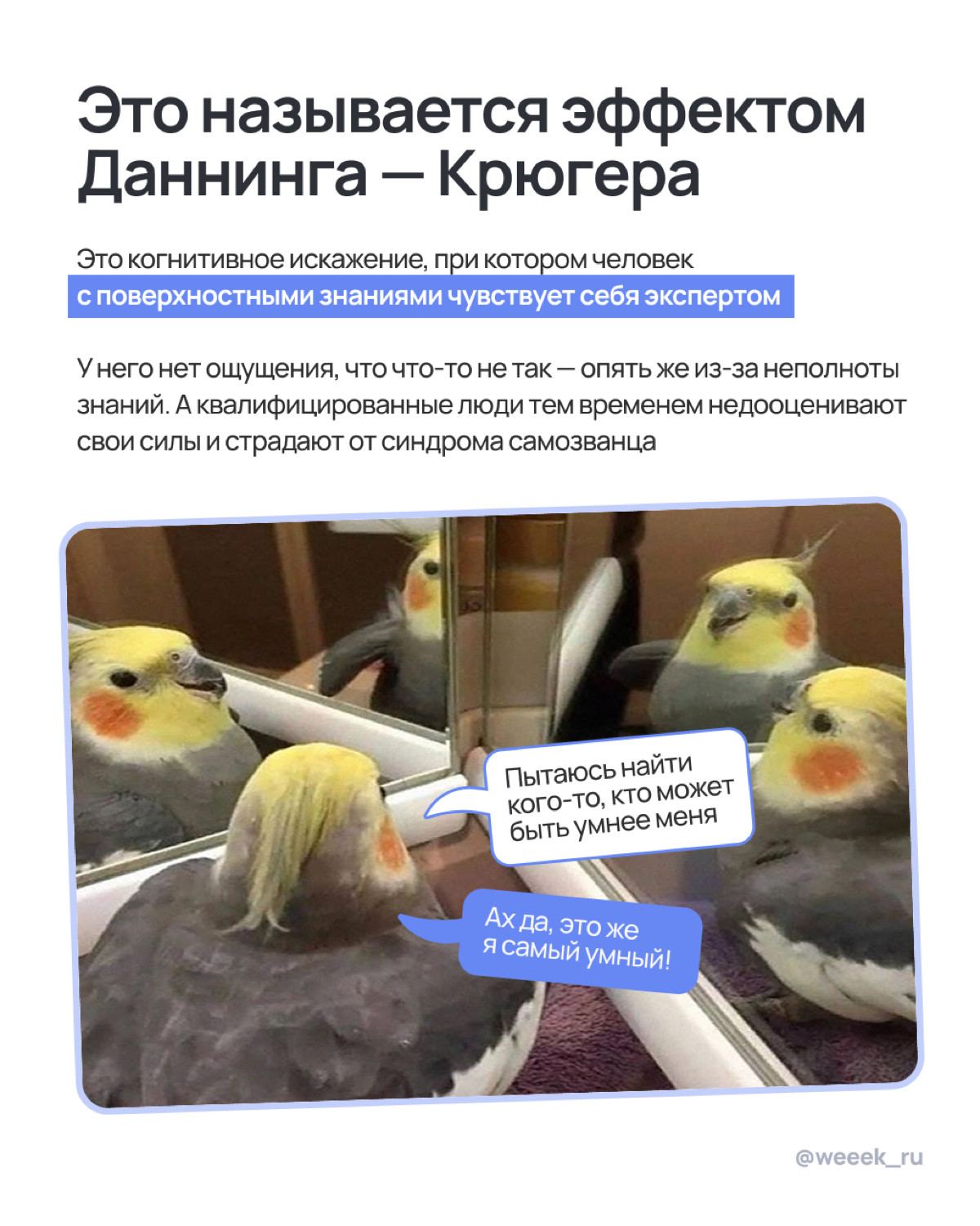 Побочка после праздников … или нет? | Сетка — социальная сеть от hh.ru