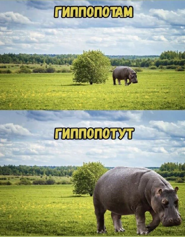 Мемный вторник
#funny | Сетка — социальная сеть от hh.ru