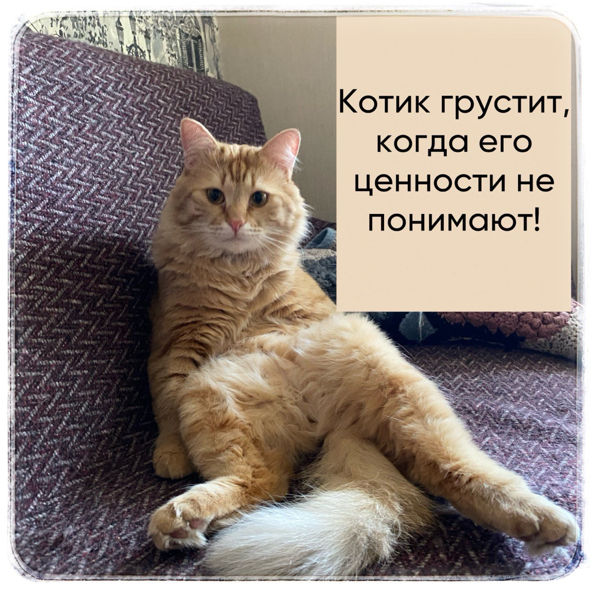 Ценности корпоративной культуры | Сетка — социальная сеть от hh.ru