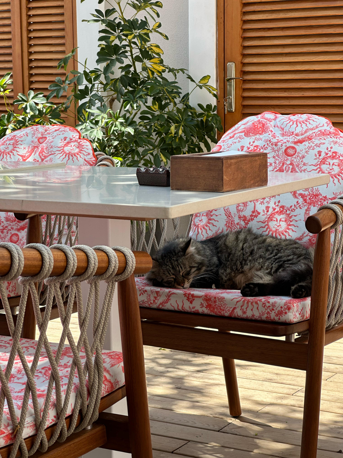 Что сейчас происходит в моем карьерном треке?! 🤝 | Сетка — социальная сеть от hh.ru