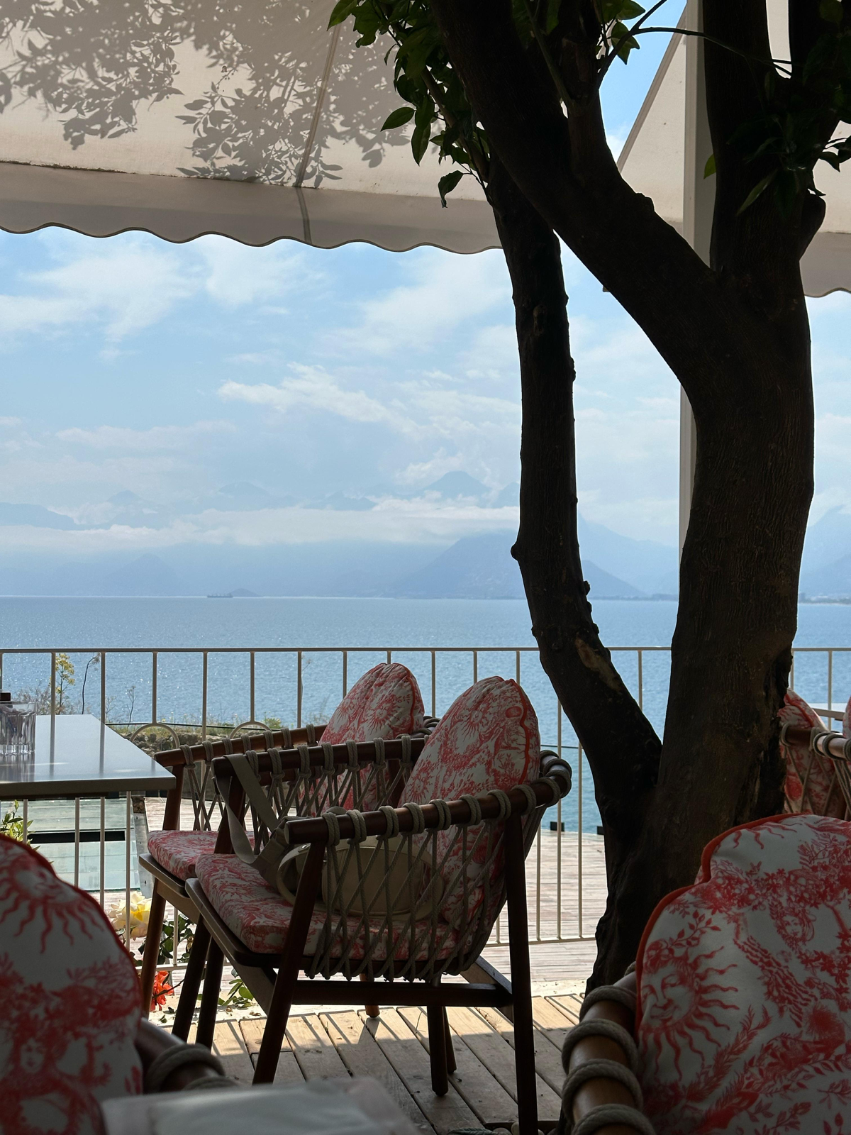 Что сейчас происходит в моем карьерном треке?! 🤝 | Сетка — социальная сеть от hh.ru