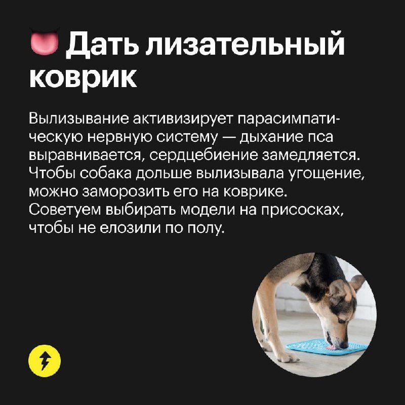 5 способов успокоить собаку 🥰
Домашние животные боятся громких звуков — например, во время праздничных салютов | Сетка — социальная сеть от hh.ru