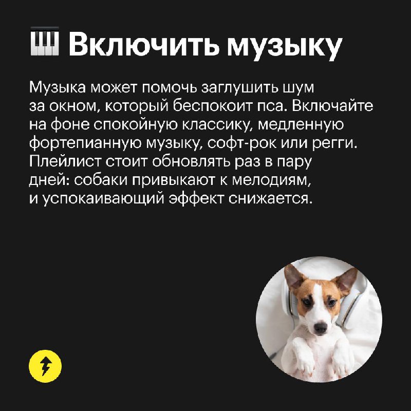 5 способов успокоить собаку 🥰
Домашние животные боятся громких звуков — например, во время праздничных салютов | Сетка — социальная сеть от hh.ru