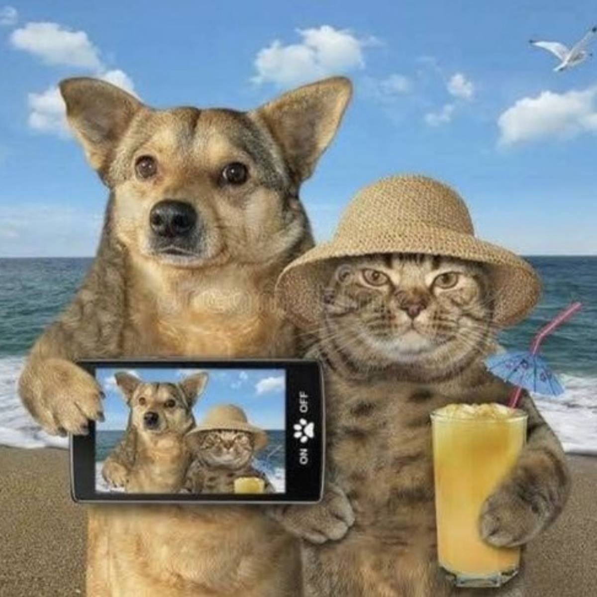 Roman Lebedev | Сетка — социальная сеть от hh.ru