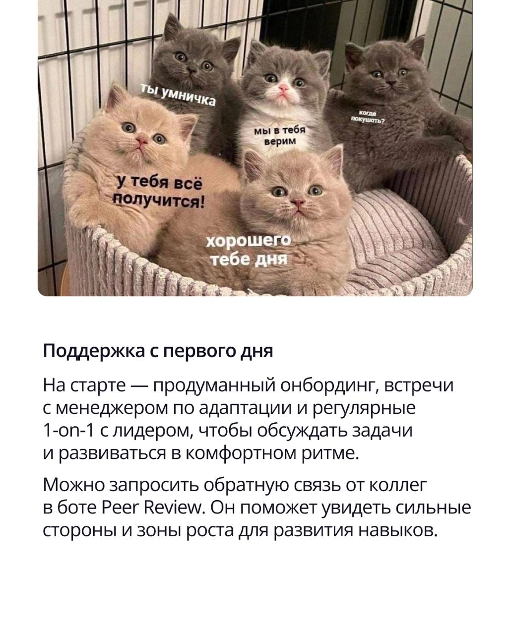 🟣 Работа в хорошей компании — это не только про зарплату и интересные задачи
Это про среду, в которой хочется расти, делиться идеями и не считать минуты до конца дня | Сетка — социальная сеть от hh.ru