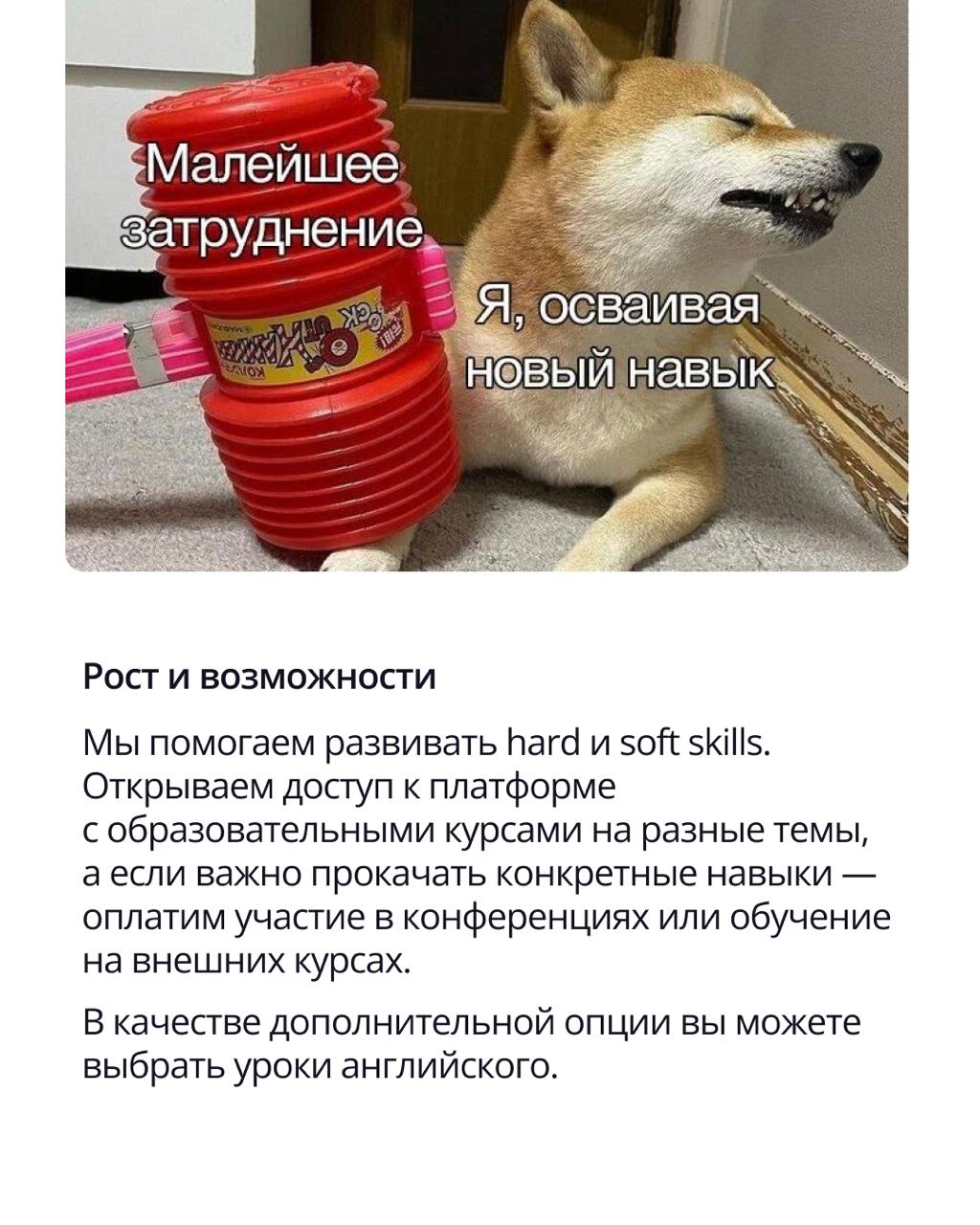 🟣 Работа в хорошей компании — это не только про зарплату и интересные задачи
Это про среду, в которой хочется расти, делиться идеями и не считать минуты до конца дня | Сетка — социальная сеть от hh.ru