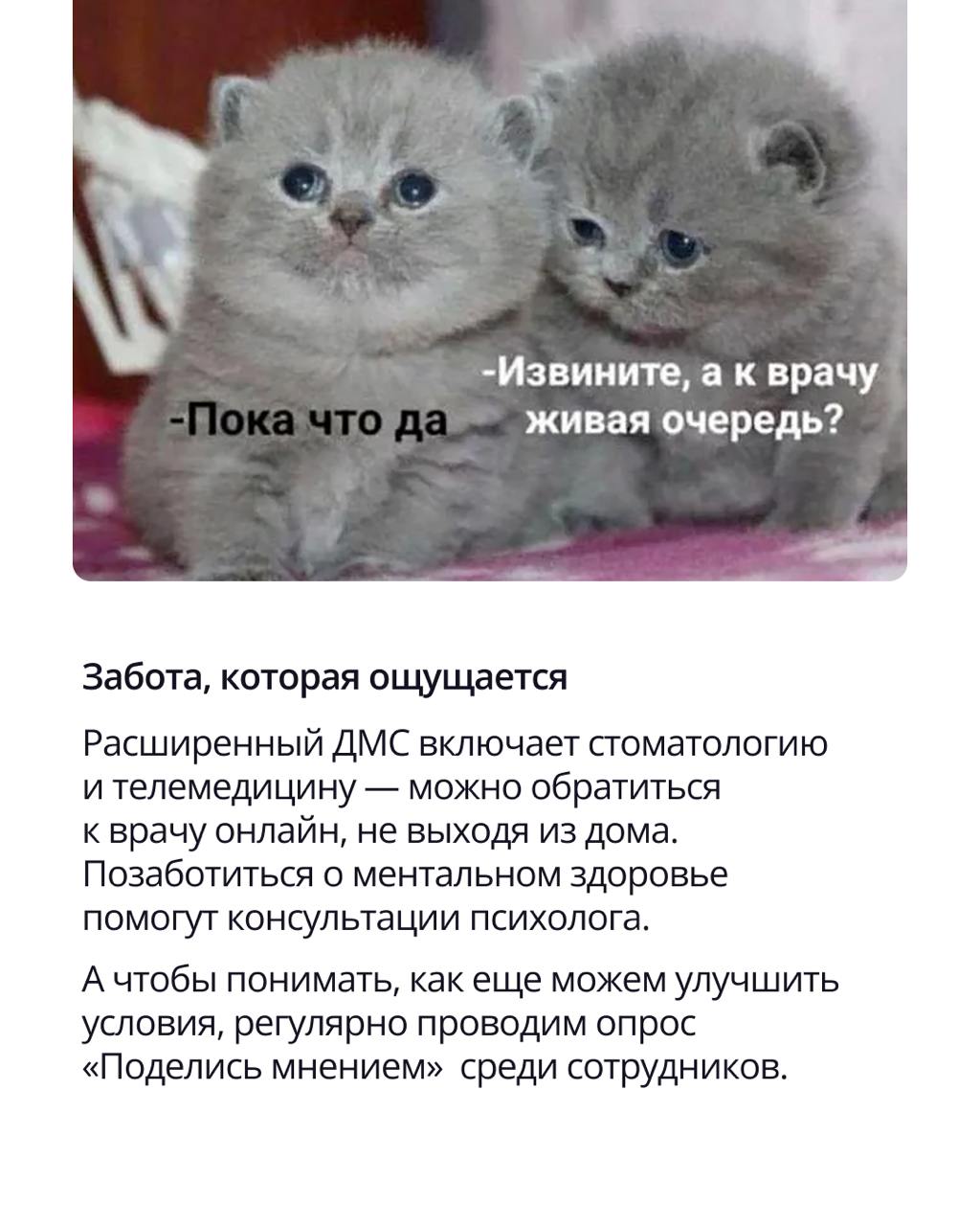 🟣 Работа в хорошей компании — это не только про зарплату и интересные задачи
Это про среду, в которой хочется расти, делиться идеями и не считать минуты до конца дня | Сетка — социальная сеть от hh.ru