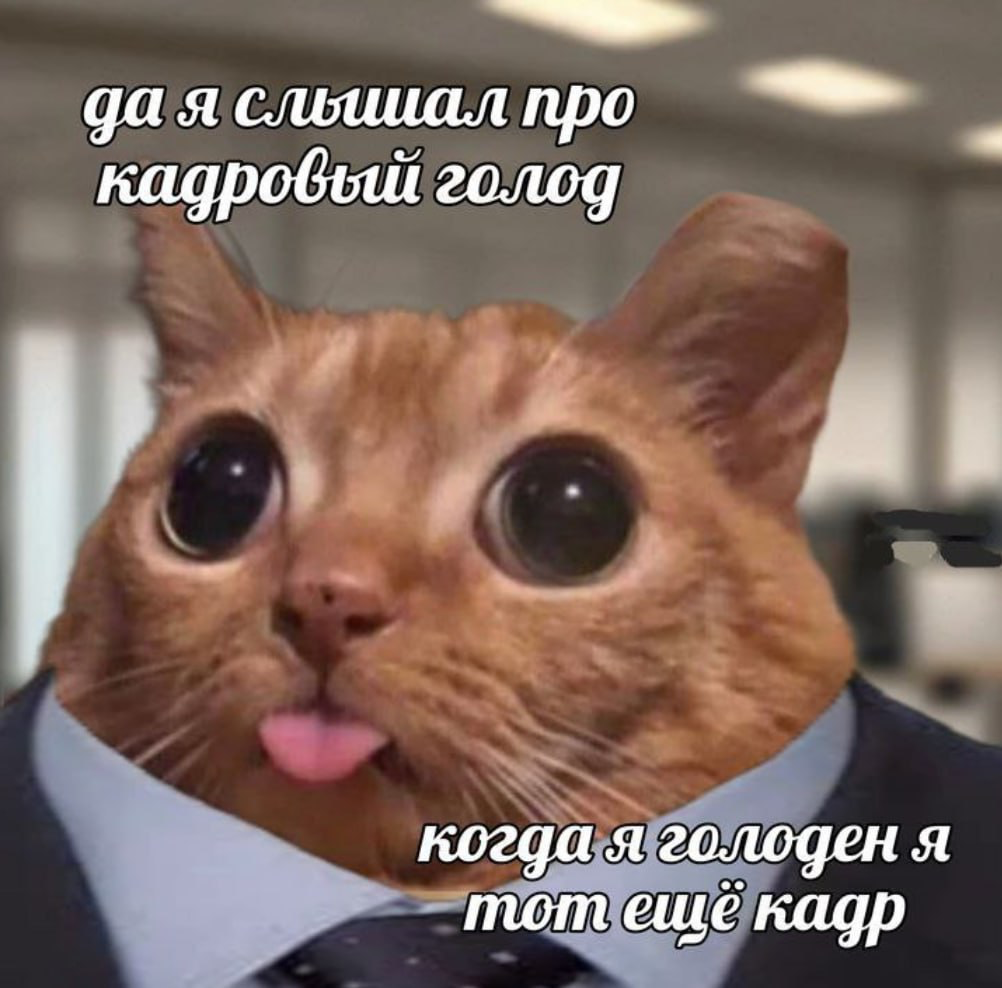 Кадровый голод | Сетка — социальная сеть от hh.ru