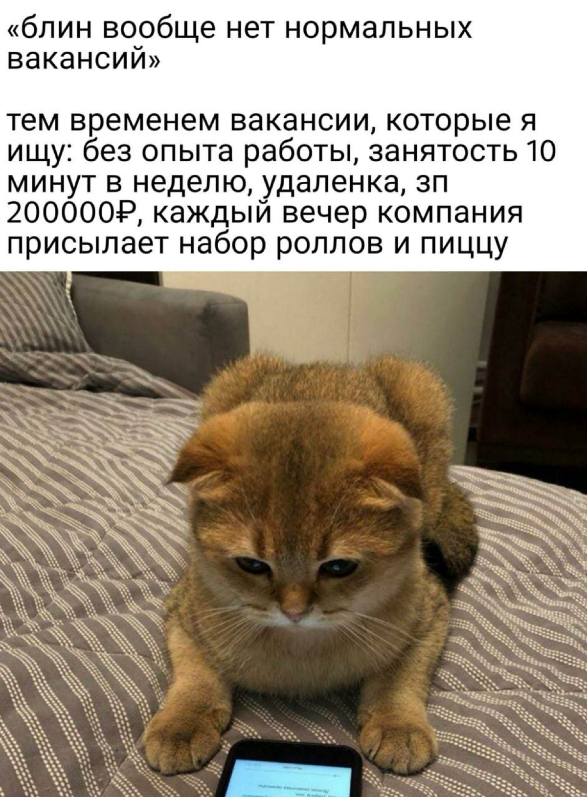 Это я, когда кто-то из знакомых рассказывает о том, что нашел вакансию мечты 🤣 | Сетка — социальная сеть от hh.ru