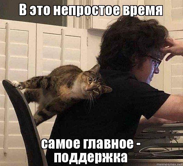 Поддержка 🫂 | Сетка — социальная сеть от hh.ru